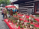 Nabídka kulturních, sportovních a společenských akcí v týdnu od 22. do 28. září