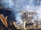 Požár mýtiny u Kladna rychle uhašen, nevznikly žádné škody