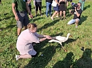 Záchranná stanice Pasíčka zve na Den plný her - POZOR ZRUŠENO!