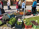 Farmářský trh v Hlinsku nabídne regionální produkty, květiny i zahradnické potřeby