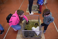 Thumbnail 43