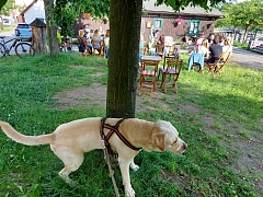 Thumbnail 12