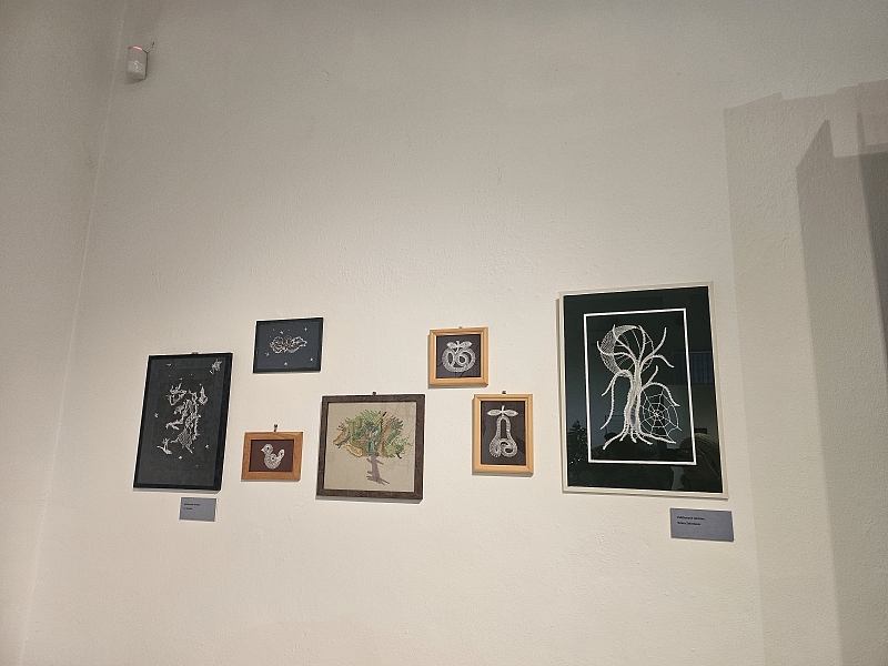 Fotografie 17