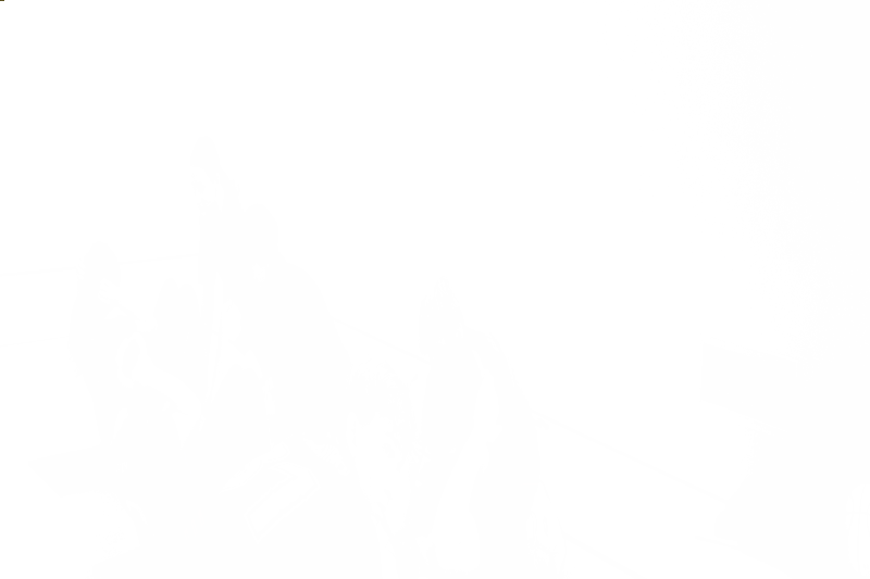 Fotografie 20