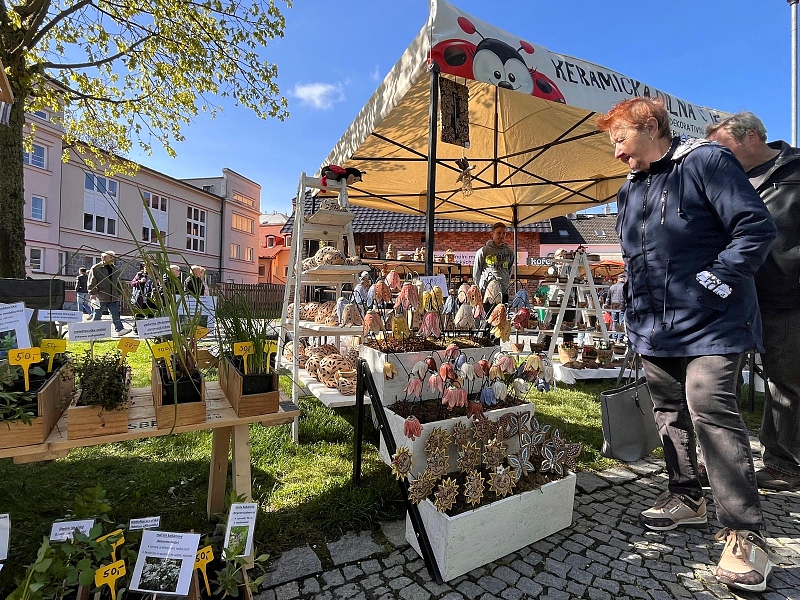 Fotografie 16