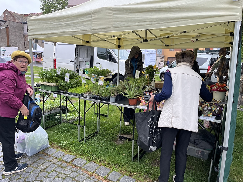 Fotografie 16