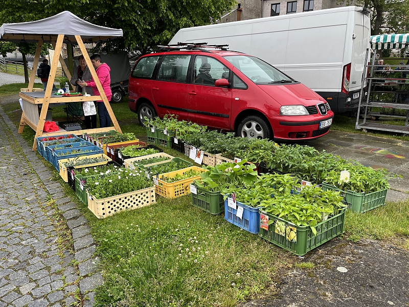 Fotografie 22