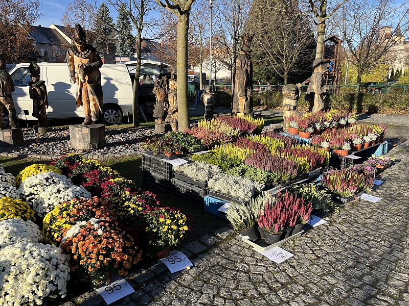 Fotografie 21