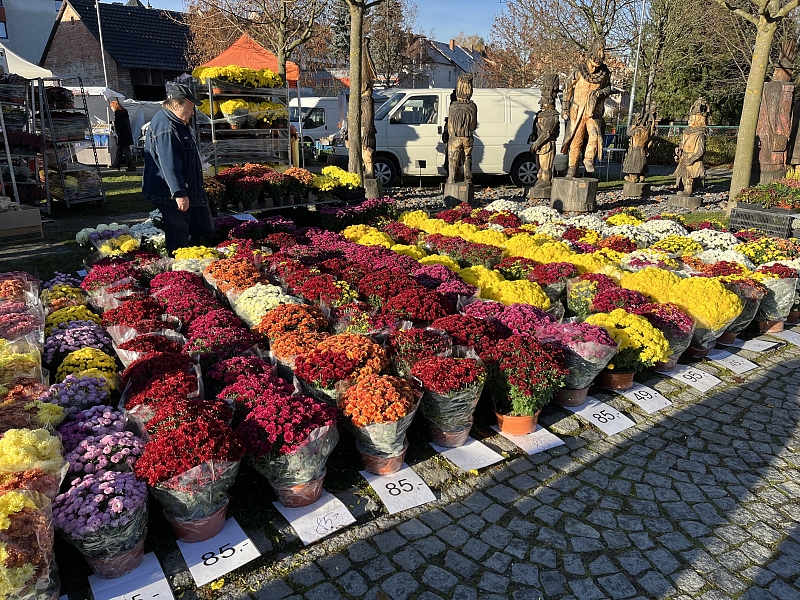 Fotografie 22