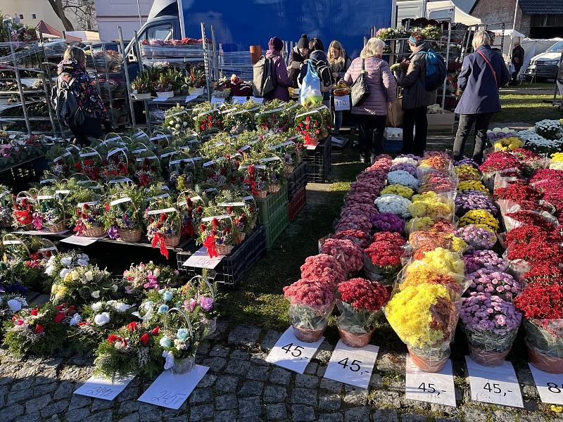 Fotografie 23