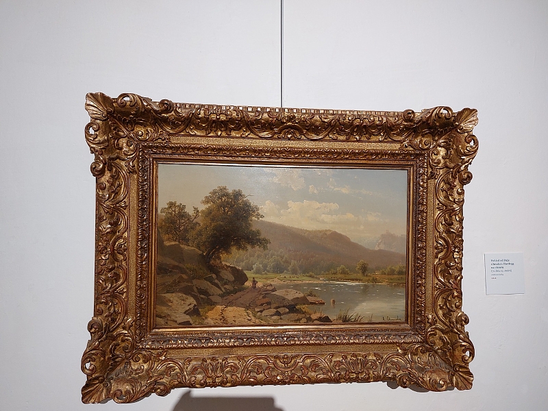 Fotografie 15