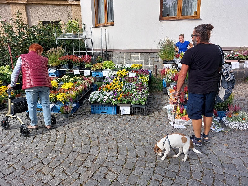Fotografie 36