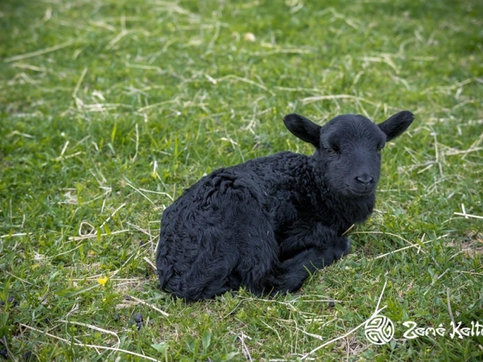 Velikonoce v Keltském skanzenu v Nasavrkách!
