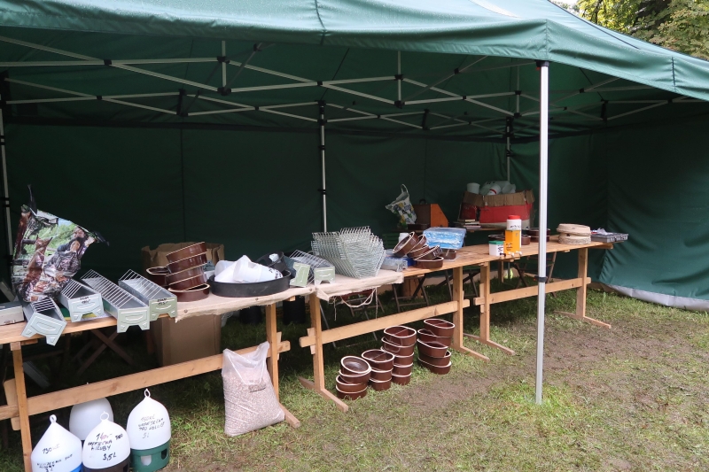Image 29