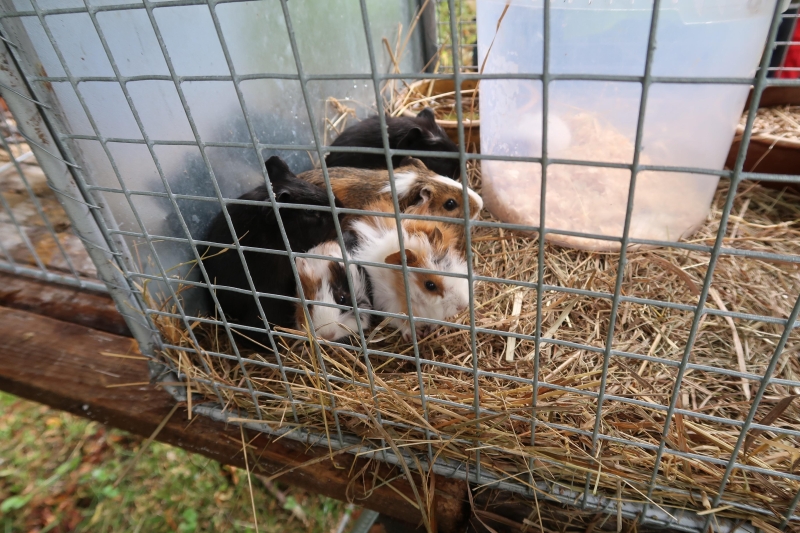 Image 20