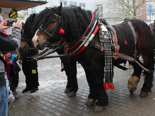Tipy na víkend: Vánoční výstavy, adventní koncerty, vánoční trh, hokejové zápasy, diskotéka