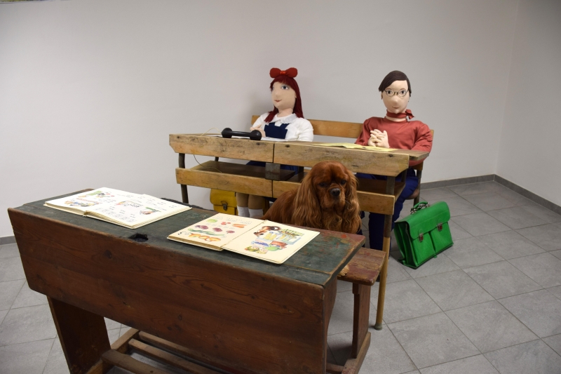 Image 7