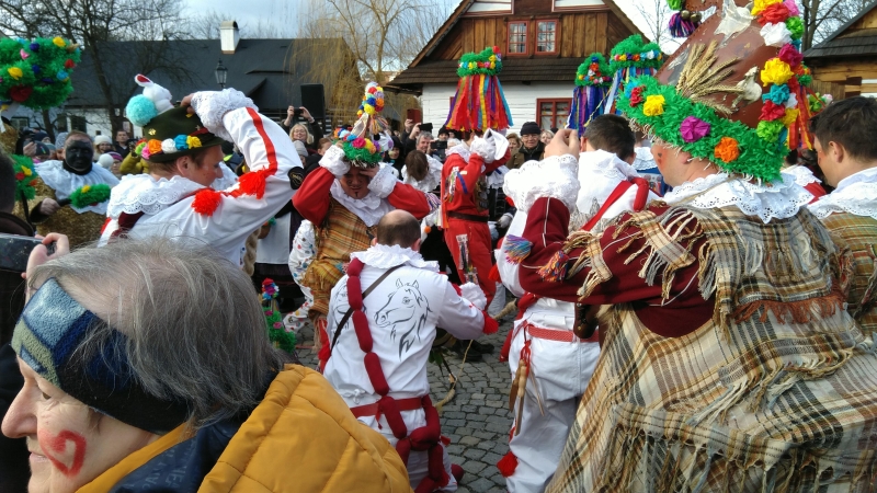 Image 31