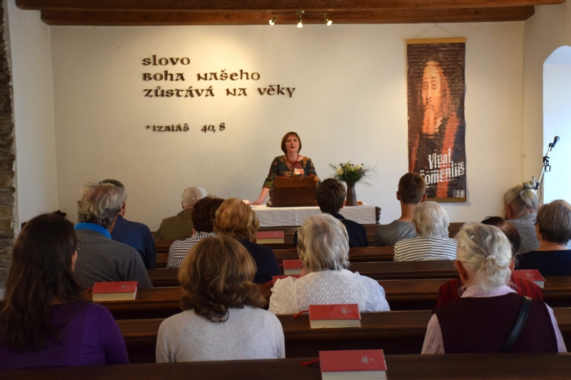 Image 14