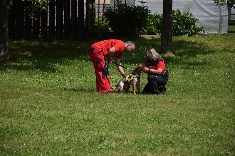 Image 64