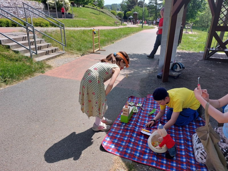 Image 13
