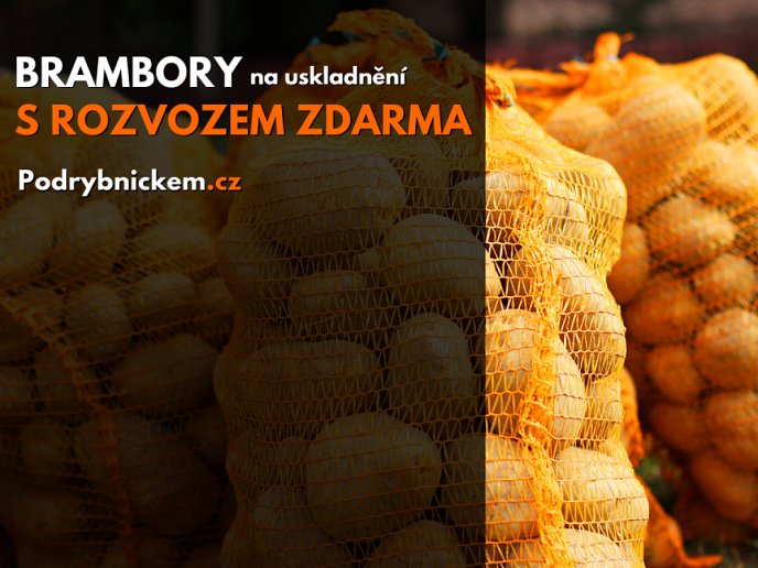 Ovoce zelenina Pod Rybníčkem Hlinsko nově nabízí brambory na uskladnění s rozvozem zdarma