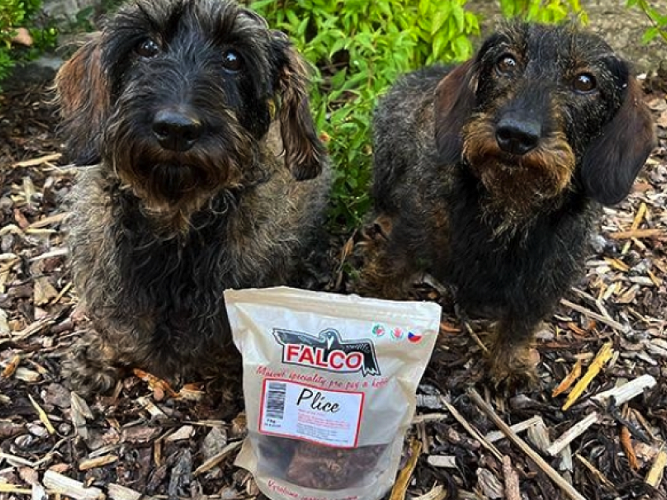 FALCO sušené pochoutky pro naše čtyřnohé mazlíčky