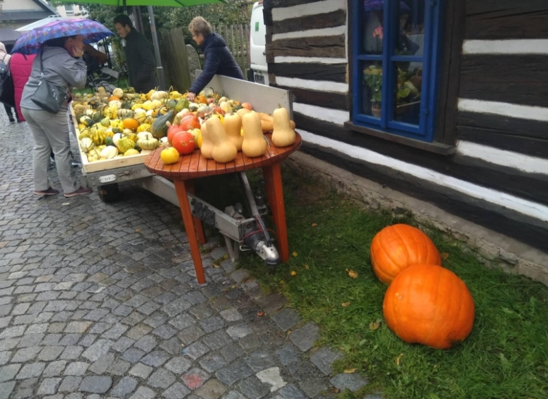 Image 27