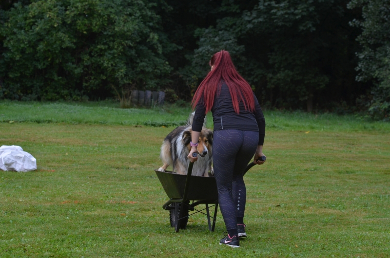 Image 14