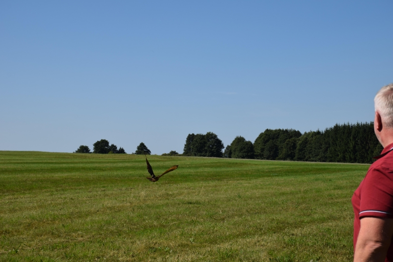 Image 27