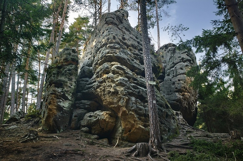 Image 1