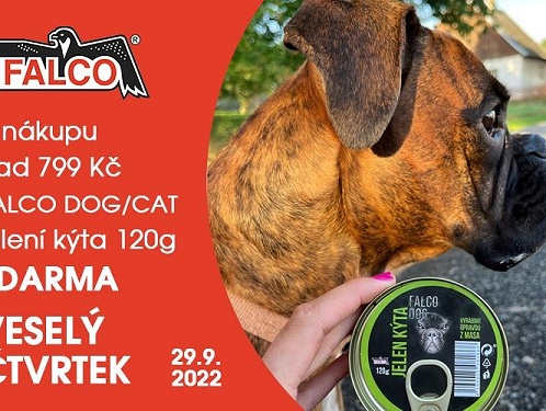 VESELÝ ČTVRTEK je tu!