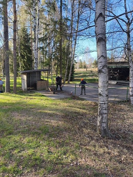 Image 8