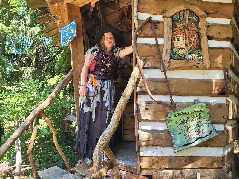Image 13
