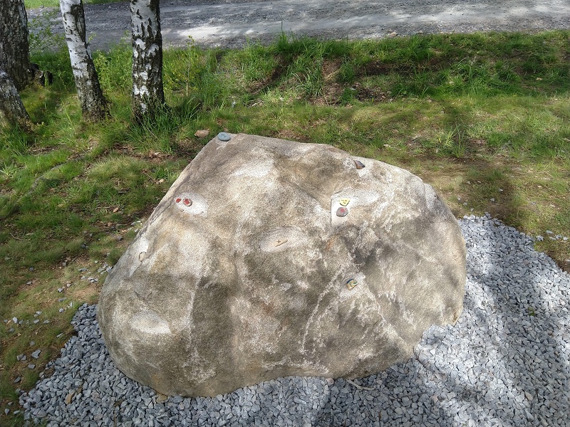 Image 6