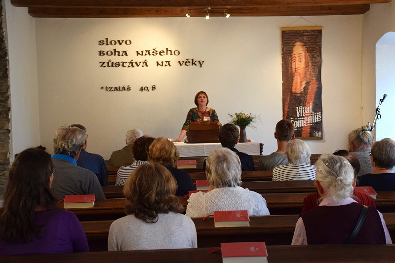 Image 14