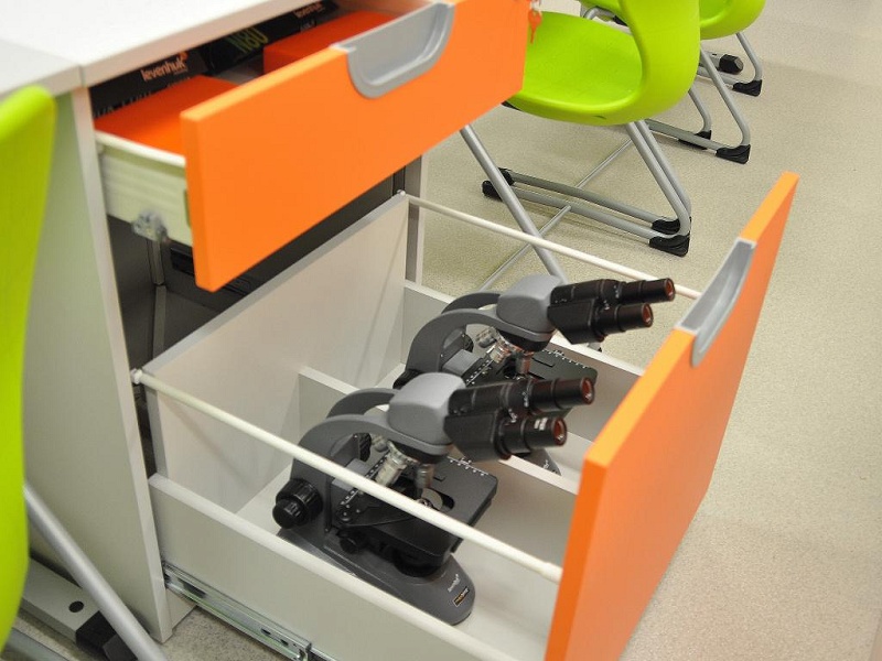 Image 5