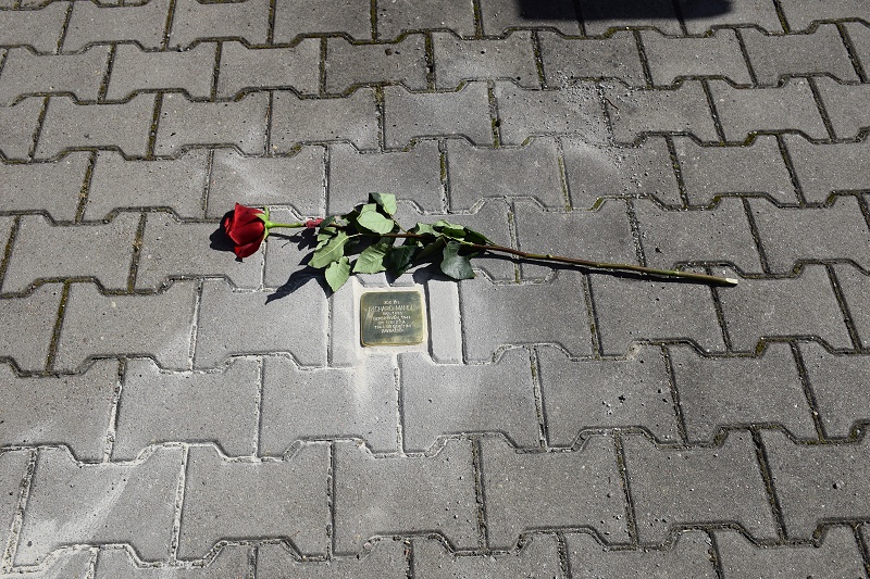 Image 23