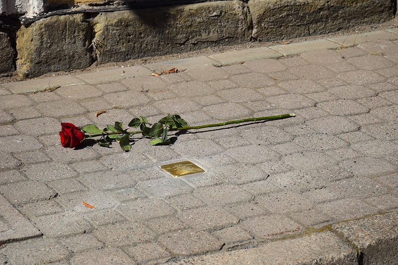 Image 13